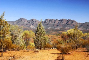 Section-Landscape-No.3-Flinders Rangers